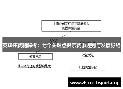 英联杯赛制解析：七个关键点揭示赛事规则与发展脉络